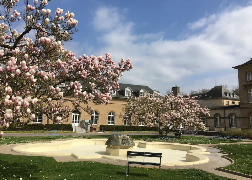 Castle Of Walferdange, Luxembourg